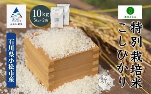 RVqJ 10kg ʍ͔| ߘa7NY Ђ  (5kg ×2) R  ΐ쌧 sy_Ƃӂzΐ쌧s40000āEp