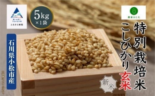 コシヒカリ 玄米 5kg 特別栽培米 令和7年産 新米 こしひかり コメ お米 石川県産 小松市産 【農家ふじた】石川県小松市18000米・パン玄米・雑穀米・もち米・餅