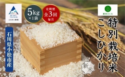 【定期便】コシヒカリ 5kg × 3回 令和7年産 特別栽培米 こしひかり 精米(毎月) コメ お米 3ヵ月 3ヶ月 3か月 石川県 小松市【農家ふじた】石川県小松市60000米・パン白米