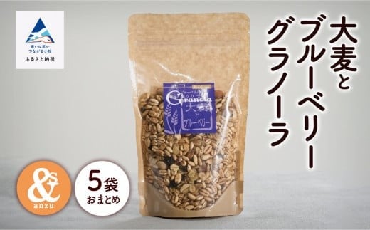 シリアル 朝食 健康 小松産 大麦とブルーベリーグラノーラ 5袋おまとめ石川県小松市9000鍋セット・総菜・加工食品その他 鍋セット・総菜・加工食品