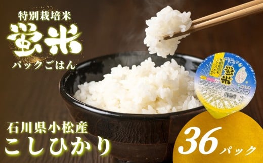 『蛍米』 パックごはん180g×36個入り 特別栽培米こしひかり パックご飯 パックライス コシヒカリ 36食 石川県 小松市産 お米 防災用 024026石川県小松市24000米・パン白米