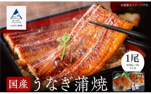 y^pbNzYȂ y200g×1z VΏĂ ^ ֐ | s ΐ쌧 yВ|{Xzΐ쌧s18000ECYȂ