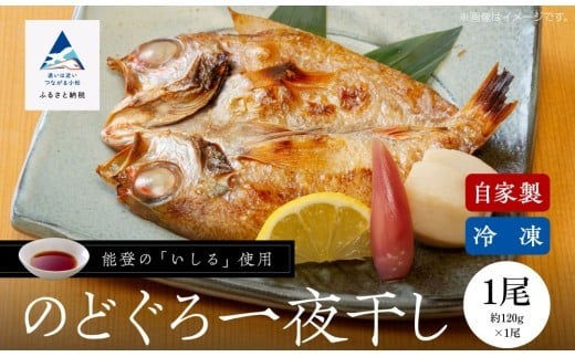【日本海の高級魚】のどぐろ一夜干し 1尾 要冷凍 干物 ひもの ノドグロ 詰め合わせ 小松市 石川県 【株式会社竹本商店】石川県小松市8000魚介・海産物鮮魚