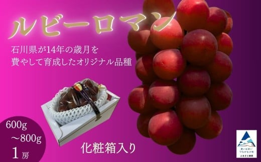 ys\ 2026Nzr[} Ԃǂ  嗱 1[ 600g`800g iyJAszΐ쌧 sΐ쌧s66000ʕEt[c}XJbgEԂǂ