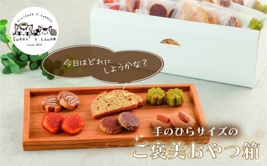 焼き菓子セット石川県小松市12000菓子・スイーツその他 洋菓子