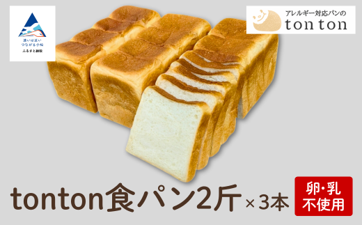 yEAM[ΉztontonHp 2×3{ΐ쌧s11000āEpp