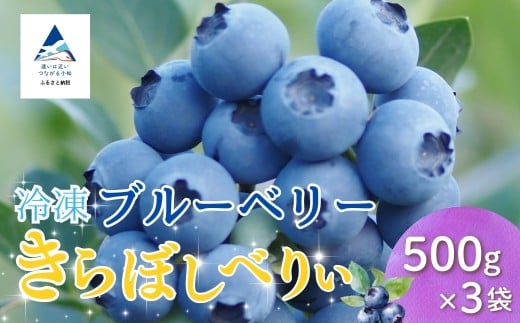 冷凍ブルーベリー 500g×3袋石川県小松市35000果物・フルーツその他 果物・フルーツ
