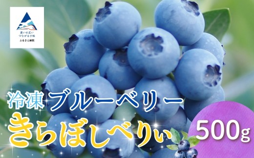 冷凍ブルーベリー 500g石川県小松市12000果物・フルーツその他 果物・フルーツ