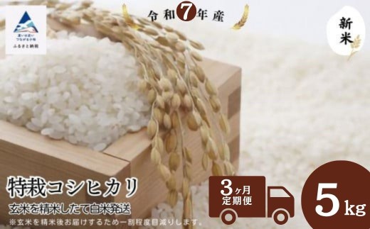 【3ヶ月定期便】特栽コシヒカリ玄米5s 精米したて白米発送石川県小松市48000米・パン白米