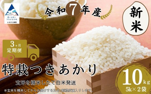 【3ヶ月定期便】特栽つきあかり玄米10s(5kg×2袋) 精米したて白米発送石川県小松市96000米・パン白米