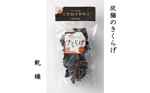 灰猫のきくらげ (乾燥) 15g × 3袋   |  国産 食物繊維 キクラゲ 生きくらげ 鉄分 木耳 きのこ キノコ石川県かほく市5000野菜・きのこきのこ