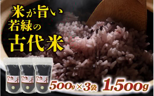 ΂̌Ñ 500g×3 v1.5kg /      Y h{ AgVAj 퉷 G Đΐ쌧قs11000āEpāEGāEāE