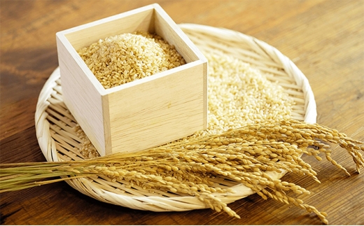 [5528-0098]yߘa7NxāzkYRVqJ 5kgiāj  CX  Ђ uh  ٓ ɂ Yn Y ΐ쌧ΐ쌧k20000āEpāEGāE