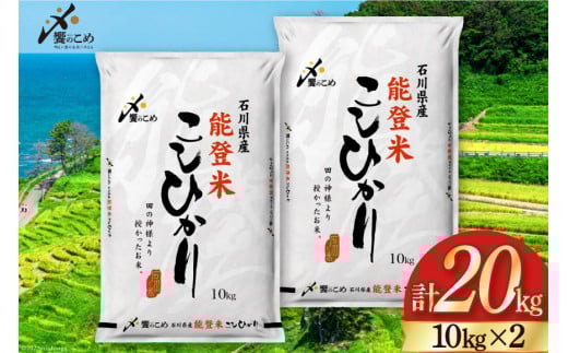 yԌ蔭z  ߘa7N \o Ђ  10kg ×2 v 20kg [ ΐ쌧 Bu 38601195]   ͂  RVqJ   R 20Lΐ쌧Bu70