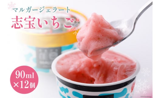 }K[WF[g12Zbgiu󂢂12j [AVbv}giACXj ΐ쌧 Bu 38600457]ΐ쌧Bu20000َqEXC[cACXEWF[g