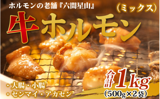 z̘V ZԐR̋zi~bNXj500g×2 v1kg䌧s13000