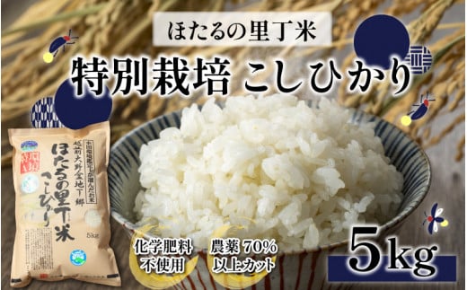 【先行予約】【令和7年産 新米】ベストファーマー ほたるの里 特別栽培こしひかり 5kg 化学肥料不使用 農薬70%以上カット【10月より順次発送】福井県大野市17000米・パン白米