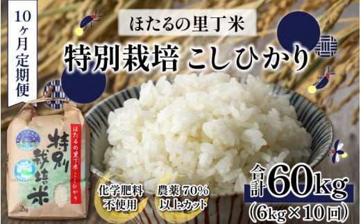 yߘa7NY Vāzy10ցzxXgt@[}[ ق̗ ʍ͔|Ђ 6kgi2kg×3j× 10 v60kg w엿sgp _70ȏJbg [J-002001] b   z RVq