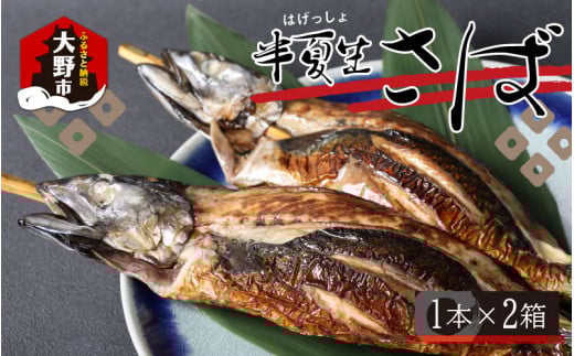 ̗zÓuĐ΁v1{×2䌧s17000ECYL