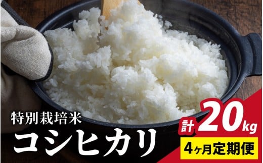 【令和7年産 新米】【4ヶ月定期便】福井県認証の特別栽培米 コシヒカリ 5kg×4回【10月より順次発送】福井県大野市72000米・パン白米