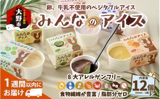 みんなのアイス 12個セット( 卵・牛乳・小麦等アレルギー特定原材料8品目不使用のアイス )福井県大野市19000菓子・スイーツアイス・ジェラート