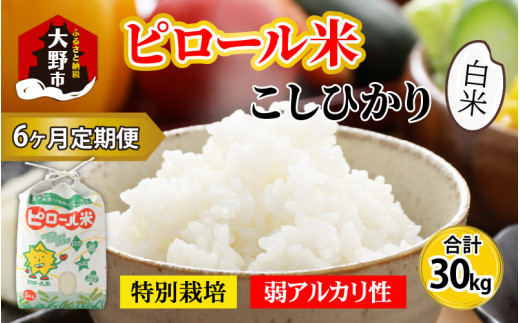 【令和6年産 新米】【6ヶ月定期便】こだわりの米!弱アルカリ性のピロール米 こしひかり 白米 5kg×6回 計30kg福井県大野市60000米・パン白米