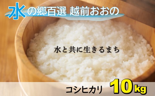 【令和7年産 新米】こしひかり(福井県大野市産)エコファーマー米(白米)10kg(5kg×2袋)福井県大野市34000米・パン白米