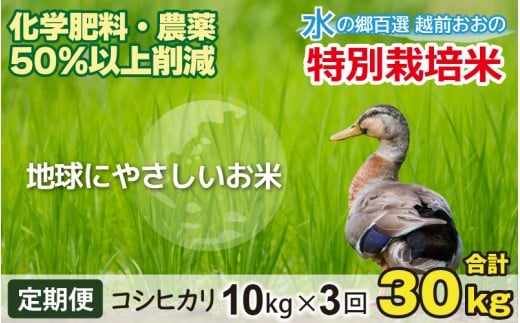 【令和7年産 新米】【3ヶ月定期便】こしひかり 10kg × 3回 計30kg【白米】減農薬・減化学肥料 「特別栽培米」−地球にやさしいお米−福井県大野市112000米・パン白米