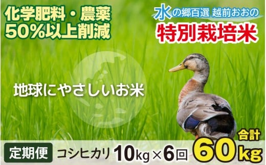 【令和7年産 新米】【6ヶ月定期便】こしひかり 10kg × 6回 計 60kg【白米】減農薬・減化学肥料 「特別栽培米」−地球にやさしいお米−福井県大野市223000米・パン白米