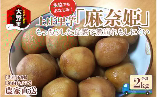 【先行予約】【年内お届け】上庄里芋「麻奈姫」2kg「農家直送」【11月初旬〜順次発送】福井県大野市12000野菜・きのこ大根・ニンジン・根菜類