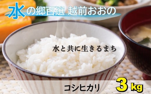 【令和7年産  新米】こしひかり(福井県大野市産)エコファーマー(白米)3kg福井県大野市11000米・パン白米