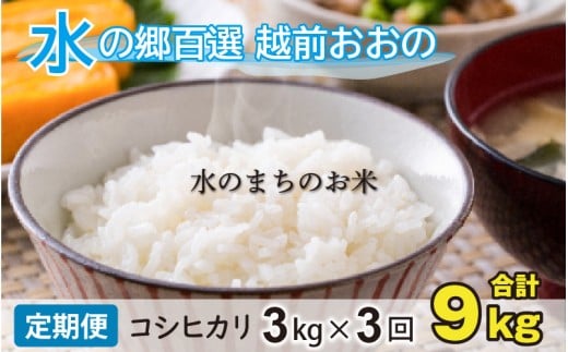 【令和7年産 新米】【3ヶ月定期便】こしひかり 3kg×3回 計9kg【白米】「エコファーマー米」水のまちのお米福井県大野市32000米・パン白米