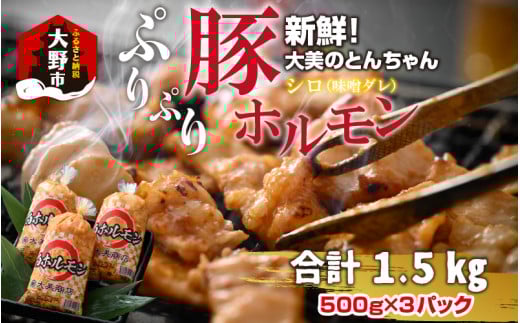 大美のとんちゃん(白)豚ホルモン シロ 味噌ダレ 1.5kg(500g×3パック)福井県大野市13000肉豚肉