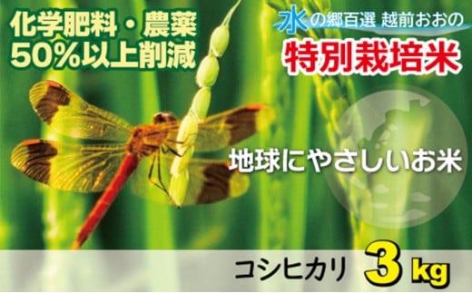【令和7年産 新米】こしひかり(福井県大野市産)福井県特別栽培米 3kg【白米】福井県大野市12000米・パン白米