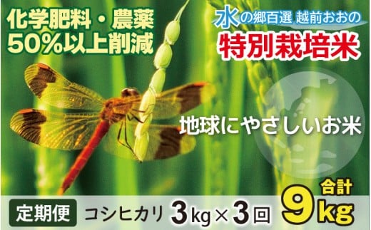 【令和7年産 新米】【3ヶ月定期便】こしひかり 3kg × 3回 計 9kg【白米】減農薬・減化学肥料「特別栽培米」福井県大野市35000米・パン白米