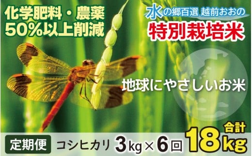 【令和7年産 新米】【6ヶ月定期便】こしひかり 3kg × 6回 計 18kg【白米】減農薬・減化学肥料「特別栽培米」−地球にやさしいお米−福井県大野市70000米・パン白米