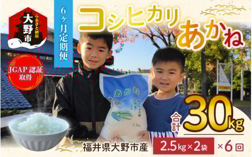 【令和5年産】【6ヶ月定期便】福井県大野市産 JGAP認証 コシヒカリ「あかね」5kg(2.5kg×2)小分け福井県大野市45000米・パン白米