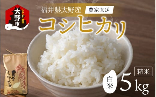【先行予約】【令和7年産 新米】福井県大野市産 コシヒカリ 白米 精米 5kg 農家直送福井県大野市15000米・パン白米