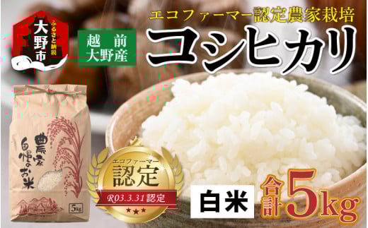 【先行予約】【令和7年産 新米】エコファーマー認定農家栽培 コシヒカリ(白米)5kg 【2025年10月より順次お届け】福井県大野市14000米・パン白米