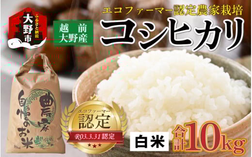 【先行予約】【令和7年産 新米】越前大野産 エコファーマー認定農家栽培 コシヒカリ10kg(白米) 【2025年10月より順次お届け】福井県大野市26000米・パン白米