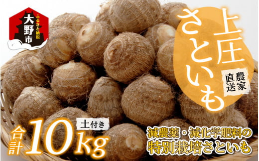 【先行予約】【12月発送分】上庄さといも 10kg 減農薬・減化学肥料の特別栽培里芋福井県大野市26000野菜・きのこ大根・ニンジン・根菜類