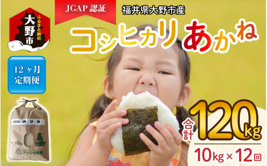 yߘa5NYzy12ցz䌧sY JGAPF RVqJuˁv10kg [K-007001]䌧s136000āEp