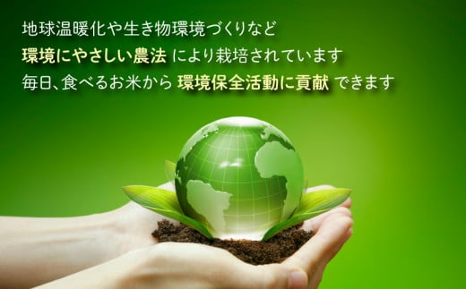 【令和6年産 新米】【12ヶ月定期便】こしひかり 30kg × 12回 計 360kg【白米】福井県大野市715000米・パン白米