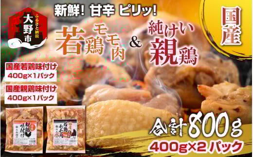 ēp Y te{ {  Hה Zbg v800gi400g×2pbNj䌧s6000{