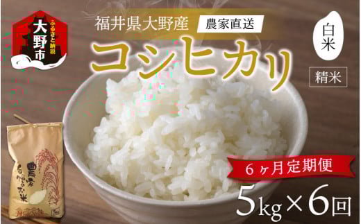 【令和7年産 新米】【6ヶ月定期便】福井県大野市産 コシヒカリ 白米 精米 5kg 農家直送福井県大野市90000米・パン白米