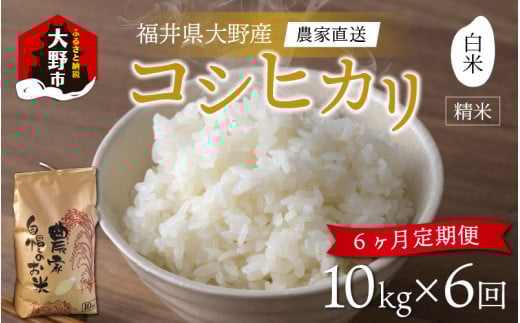 【令和7年産 新米】【6ヶ月定期便】福井県大野市産 コシヒカリ 白米 精米 10kg 農家直送福井県大野市180000米・パン白米