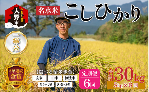 【令和6年産】【6ヶ月定期便】越前大野産 一等米 帰山農園の棚田育ちコシヒカリ 無洗米 5kg × 6回 計30kg福井県大野市90000米・パン白米