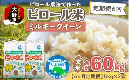 【令和7年産 新米】【6ヶ月定期便】ミネラル豊富!弱アルカリ性のピロール米 ミルキークイーン 玄米 10kg(5kg×2袋)× 6回 計60kg  化学肥料5割以下・減農薬福井県大野市154000米・パン白米
