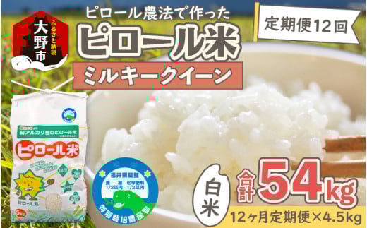 【令和7年産 新米】【12ヶ月定期便】ミネラル豊富!弱アルカリ性のピロール米 ミルキークイーン 白米 4.5kg × 12回 計54kg 化学肥料5割以下・減農薬福井県大野市160000米・パン白米