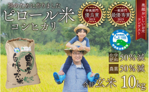 【先行予約】【令和7年産 新米】【孫のために作りました】ピロール米 コシヒカリ 玄米 10kg 化学肥料50%減 農薬50%減【玄米食におすすめ】福井県大野市27000米・パン玄米・雑穀米・もち米